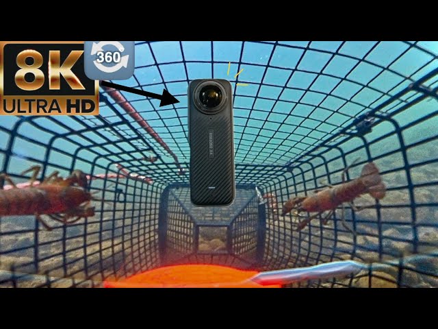 I put a 360 camera in a Crawfish Trap - it was like another world😲