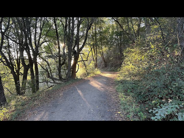 Onewheel Trail Riding at Wilder Ranch, Santa Cruz