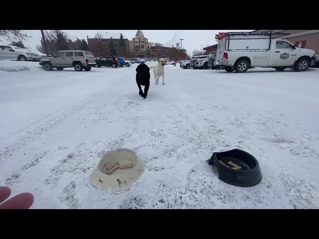 Weather Wise: GroundDOG Day