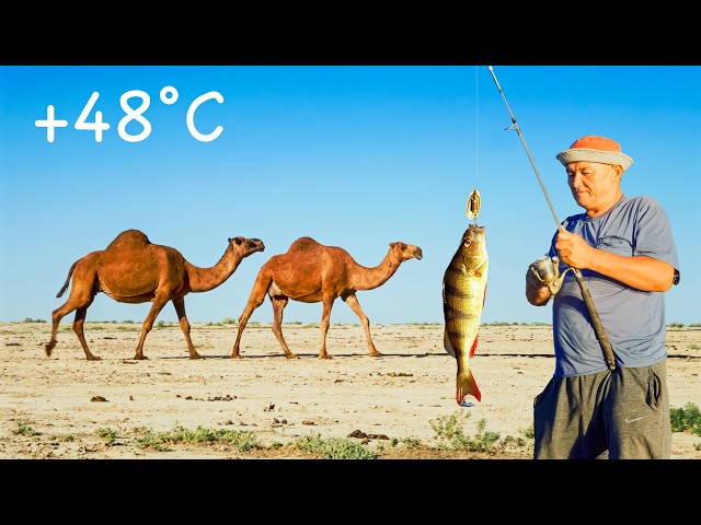 Life in Desert of Kazakhstan: Fishing, Camel Breeding and More