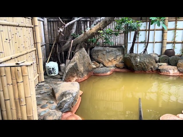 奥千年の湯・平山旅館（長崎県壱岐市） #平山旅館 #壱岐 #湯ノ本温泉 #露天風呂