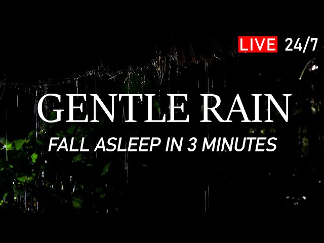 🔴 Fall Asleep in Under 3 Minutes - Gentle Night Rain Sounds for Sleeping. Deep Sleep, Relax, Study