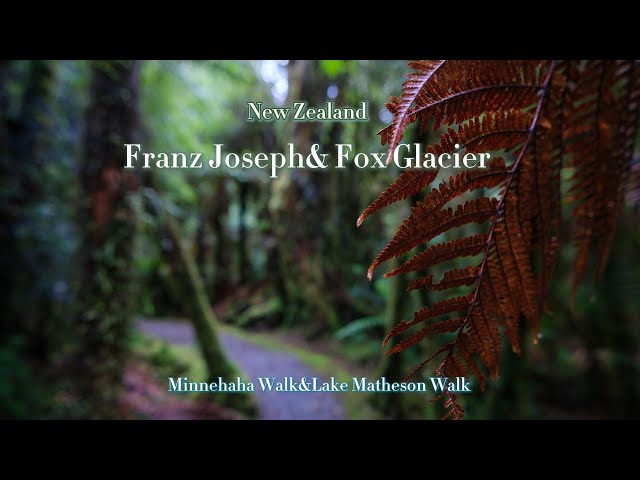 9 Franz joseph & Fox glacier -NZ