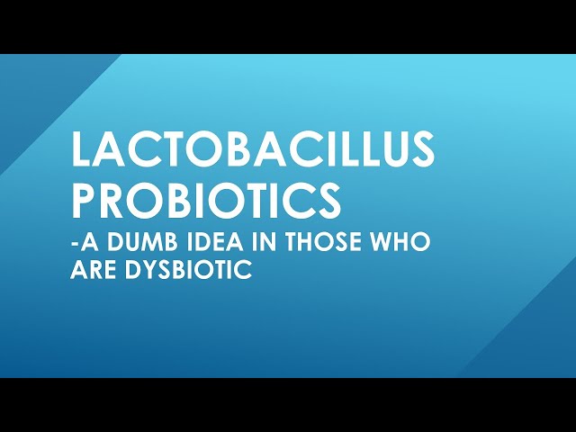 Lactobacillus: A dumb idea in those who are dysbiotic. The Probiotic Myth Debunked.