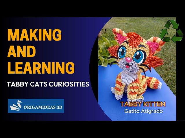 Making and Learning: Tabby Cats Curiosities - 3D Origami | Curiosidades de los "Gatos Atigrados"