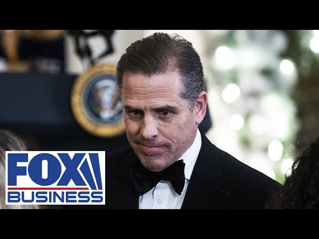 Hunter Biden is 2024's biggest 'X factor': Bill Hemmer