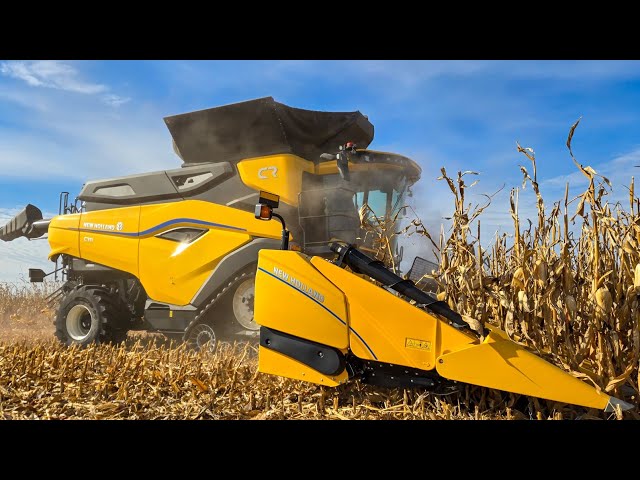 MASSIVE New Holland CR11 and 16 row corn head!!!!