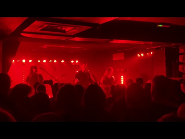 Wheel - Vultures (Live @ Luxor | Cologne | 27.11.2024)