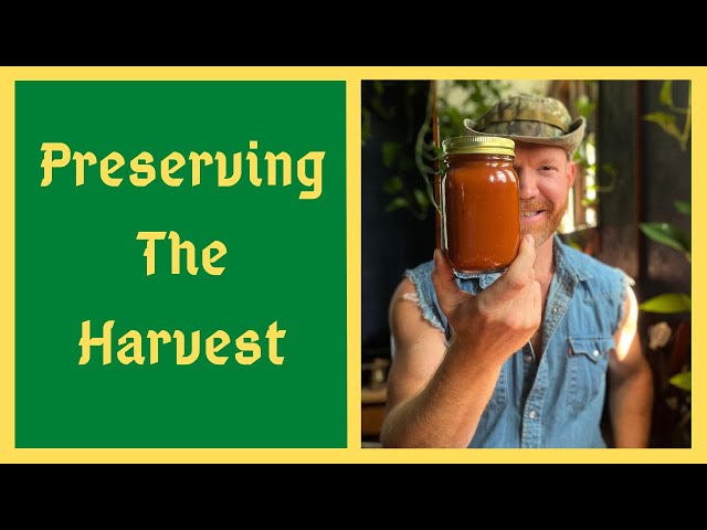 Tomato Preserving EASIEST Method Ever - Do NOT Remove Skins And Seeds - Water Bath Canning