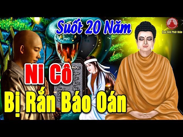 100% Có Thật Chuyện Phật Giáo, Ni Cô BỊ RẮN ĐEO BÁM BÁO THÙ Suốt 20 Năm Nhân Quả Báo Ứng 2025