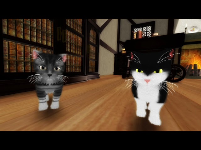 茶トラこねこ目線(View from a yellow cat)【MMD VR 180】Habanera (VR酔い注意、Caution! VR motion sickness)