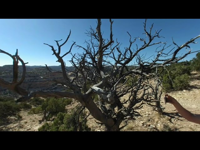 VR180 test in Utah