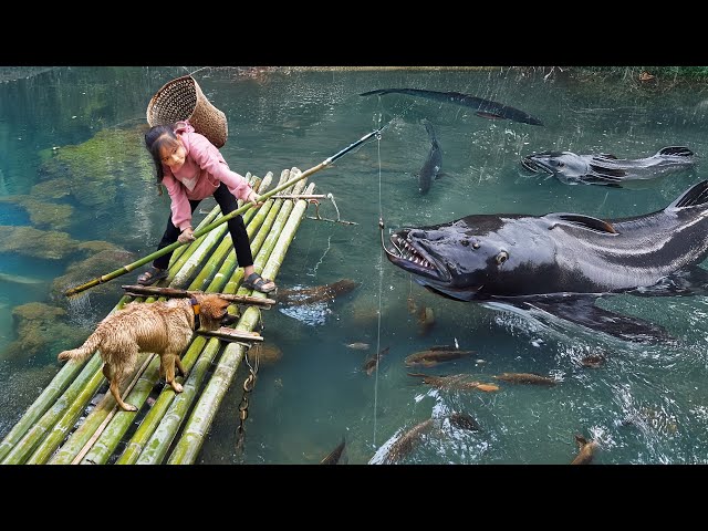 Poor girl uses bamboo tube to catch many fish, accidentally saves drowning dog | Poor Girl +