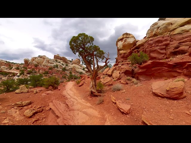 Capitol Reef 19 km Solo Day Hike | Silent Hiking | Southwest USA Hiking Trip