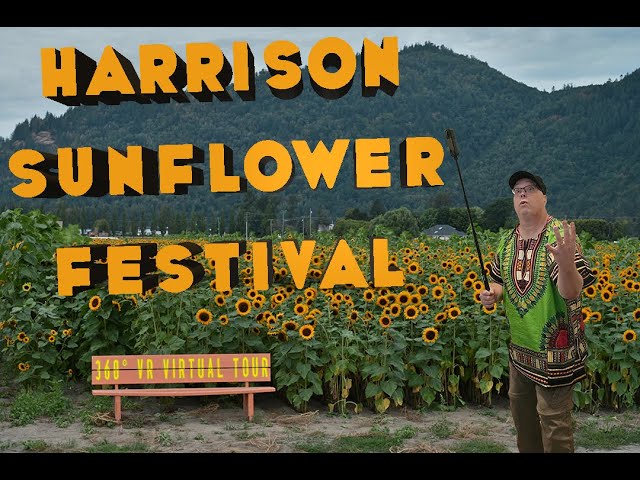 Stunning Immersive VR 360° Virtual Tour of Harrison Sunflower Festival 2023