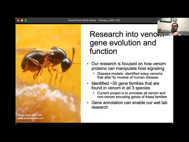 Intro to Parasitoid Wasps Project NMT 2022