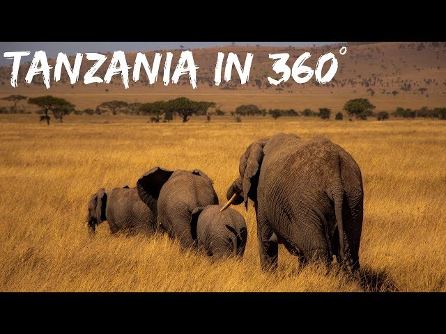 Serengeti Safari & Ngorongoro Crater in 360° | Virtual Reality 4K