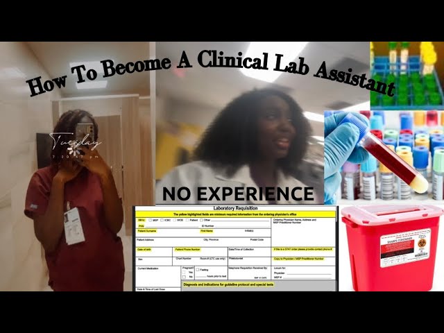 How To Become A Clinical Lab Assistant| NO EXPERIENCE