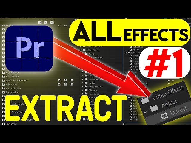 EXTRACT:Adjust-Video-Effects: ALL & EVERY Effect in Adobe Premiere Pro 2023 Explained-Ep#1-UrduHindi