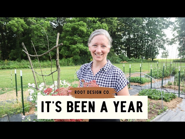 GARDEN DESIGN: How it's going one year in