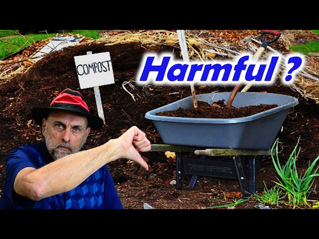 Is Compost Killing Your Plants?