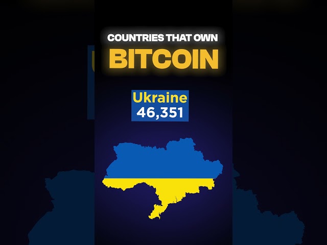 Which Country owns more BITCOINS? #crypto #web3 #blockchain #bitcoin #altseason #tmw