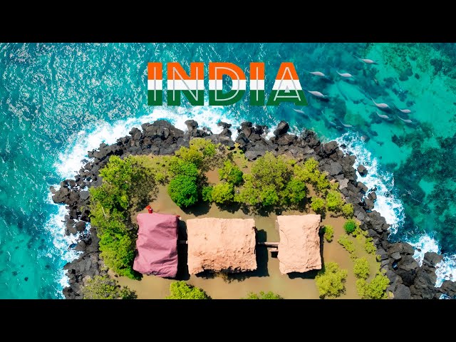 Goa, Un Paraíso Escondido en la INDIA 🇮🇳 - Guía de Viaje