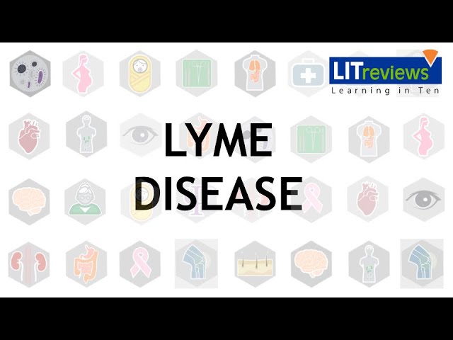 Lyme Disease