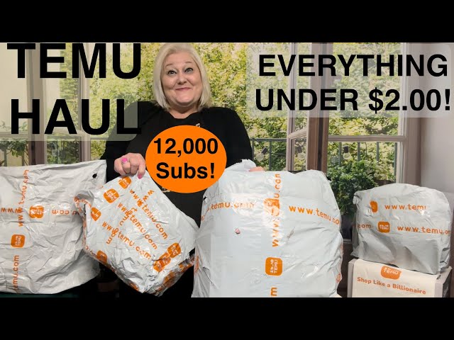 TEMU || TWO DOLLAR HAUL // ITEMS YOU WANT // EVERYTHING UNDER $2!