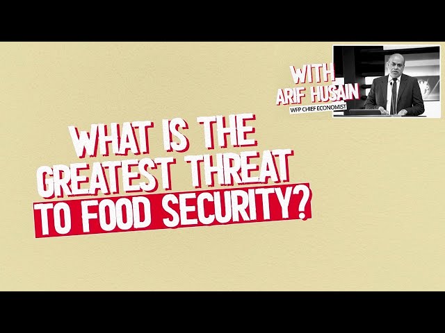 What Is the Greatest Threat To Food Security?