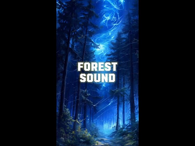 Forest Sound - Best Focus Study & Relax #forest #sound #best #focus #study #meditation #trend #ai