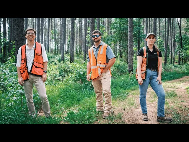 Day in the Life of a Forester | Georgia-Pacific