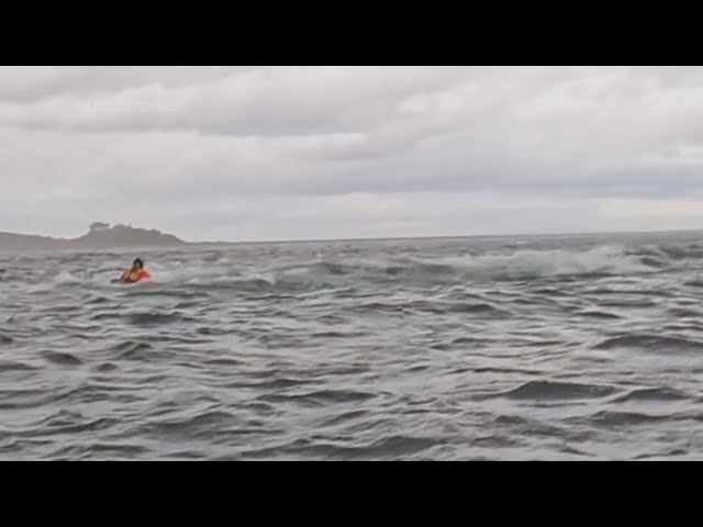 Humpback whale briefly swallows kayaker