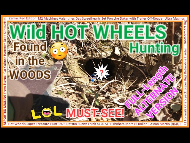 Hot Wheels Hunting IN THE WOODS We Found NEW RELEASEs LOST and Hiding, We Decided to ADOPT &care for