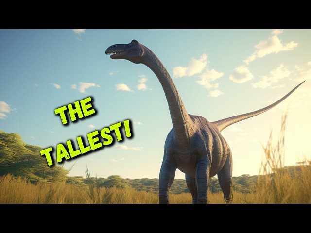 The SURPRISING evolution of the Brachiosaurus