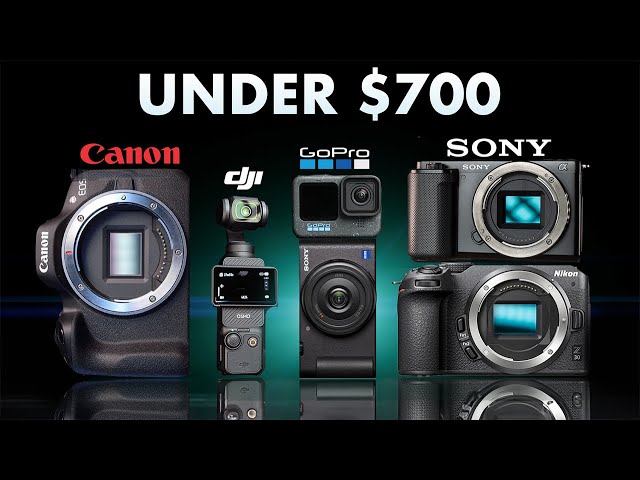 Best Budget Cameras for Beginners in 2025