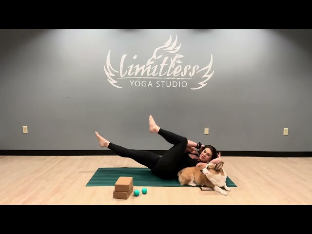 Twisting Flow for Spinal Health II LIMITLESS YOGA STUDIO