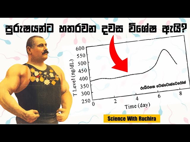 ශුක්‍රානු ධාරණය (Sperm Retention) ජවබල සම්පන්න පිරිමි ජීවිතයකට මගද? (විද්‍යාත්මක දත්ත සහිතව)