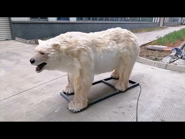 polar bear