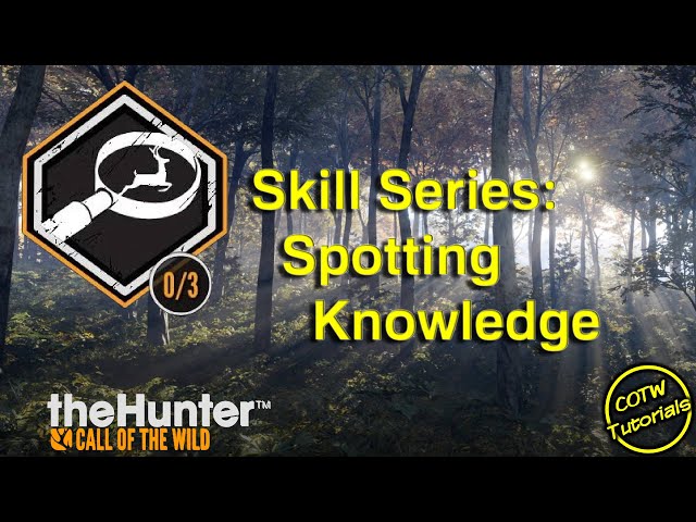 Spotting Knowledge Skill