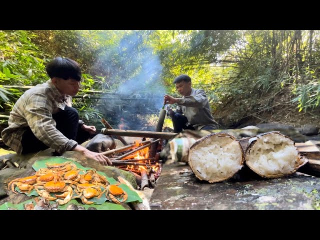 Chuyển Đến Khu Rừng Mới Tìm Chỗ Đặt Bẫy Tìm Kiếm Thức Ăn | Life In The Wild