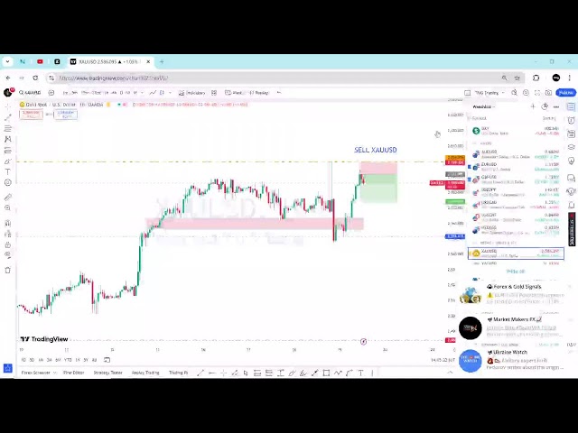 TMG Trading Company Live Stream