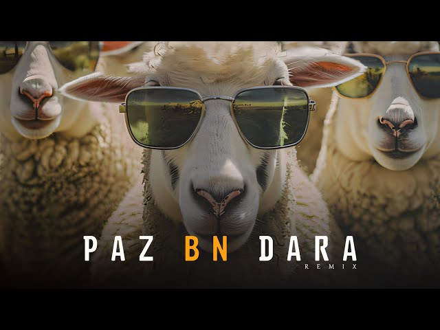 Paz Bn Dara (REMIX)