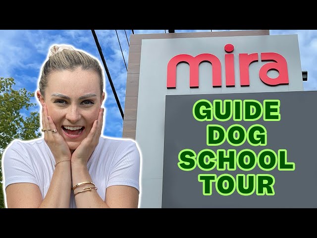 Guide Dog School Campus Tour (The Mira Foundation)