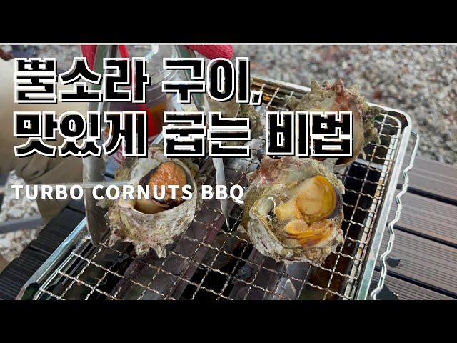 뿔소라 구이, 진짜 맛있게 굽는 비법 공개!