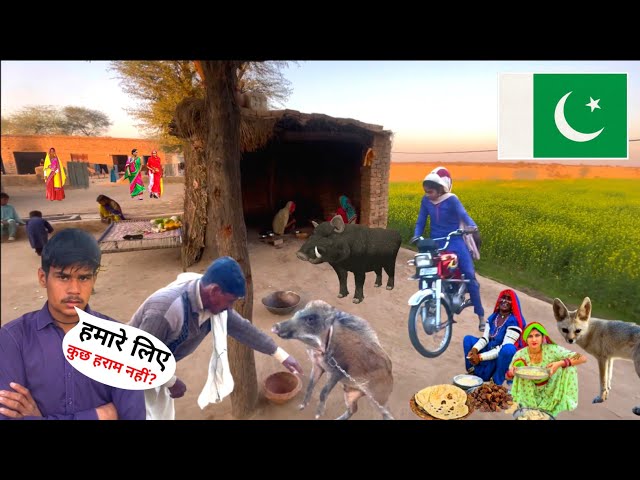 पाकिस्तानी हिंदू बाउरी गांव का जीवन || How is life of Bauri village in Pakistan🇵🇰 | Maahir Ram Vlogs