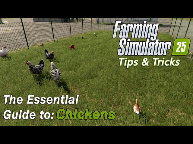 The Essential Guide to Chickens in Farming Simulator 25