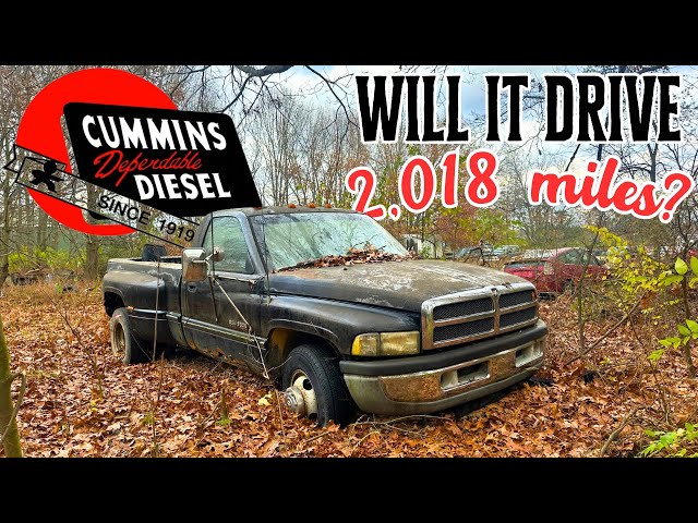 Father & Son buy 2 DODGE TRUCKS and attempt to DRIVE them 2,018 miles home!