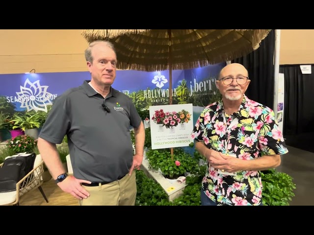 Hollywood Hibiscus Highlight: Insights from Cultivate'24 with Tom Foley & Jim Barry