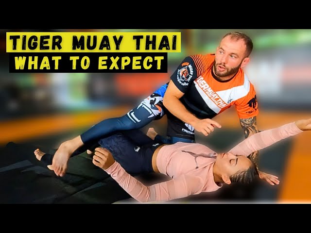 JIU-JITSU at Tiger Muay Thai (What to Expect) | SE03E125